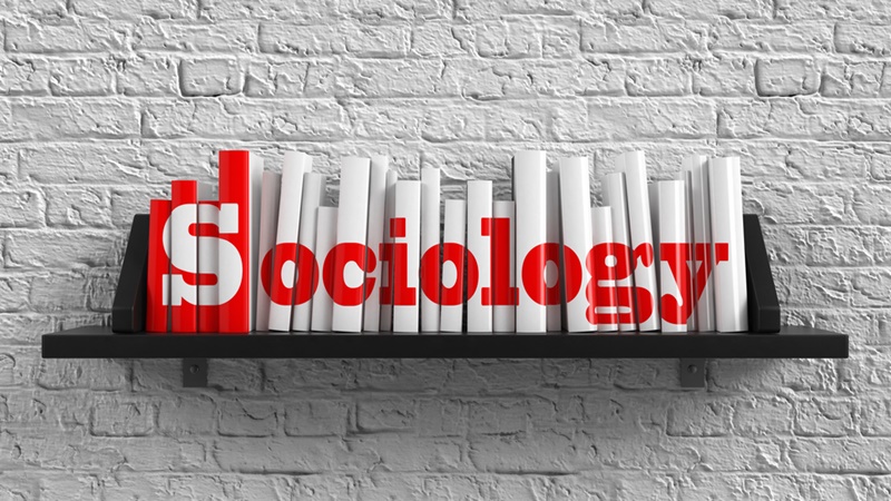 sociology-course_107090_large